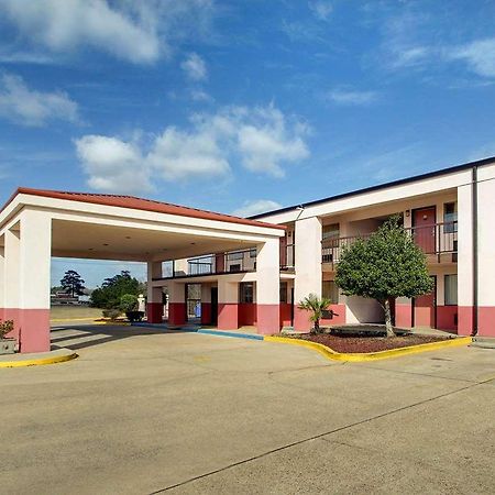 Econo Lodge Inn&Suites Forest Esterno foto